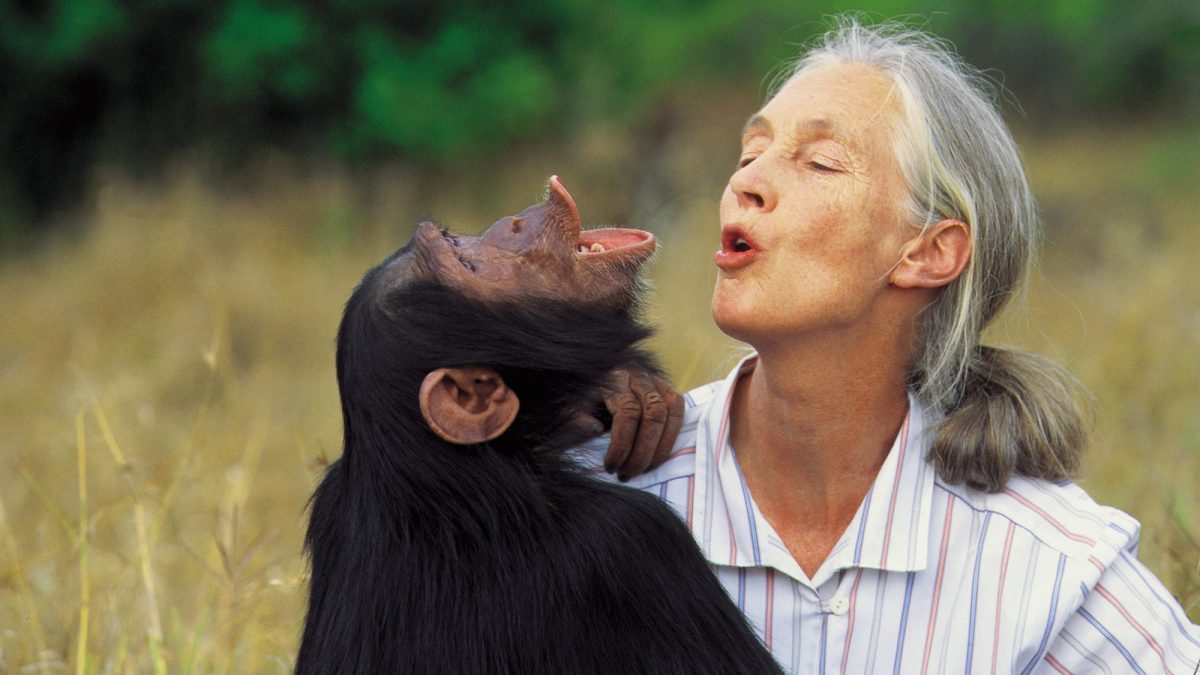 Dr. Jane Goodall